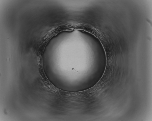 X0000094971397200712131444