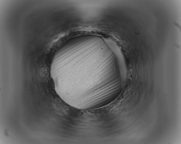 X0000094971398200712131444