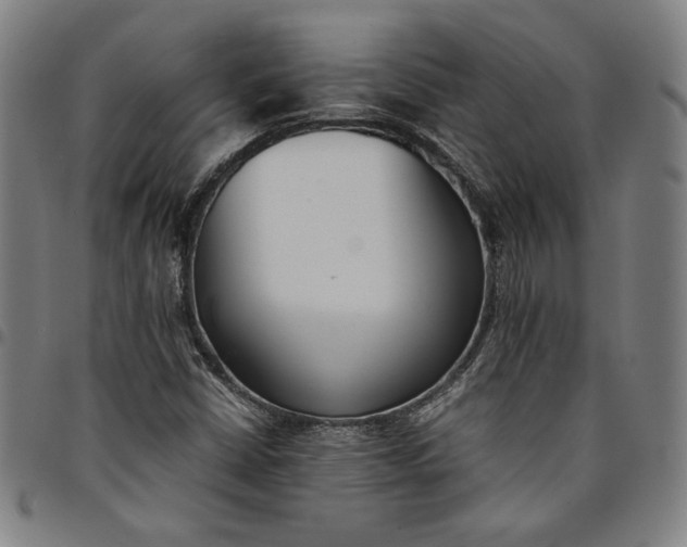 X0000094971402200712131444