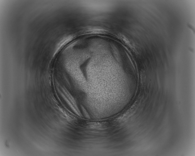 X0000094971405200712131444