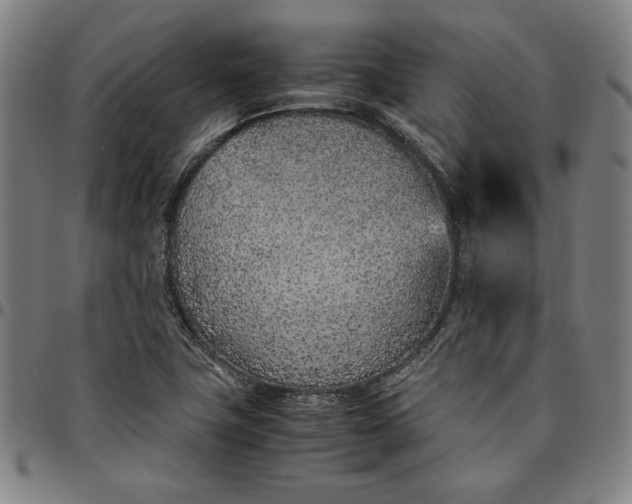 X0000094971411200712131444