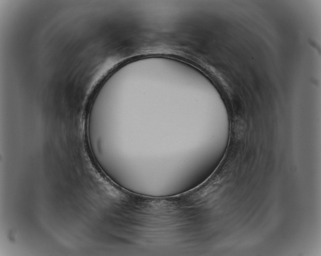 X0000094971416200712131444