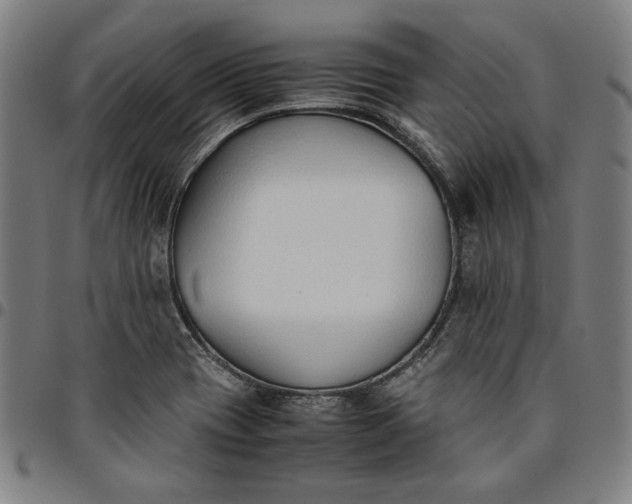 X0000094971417200712131444