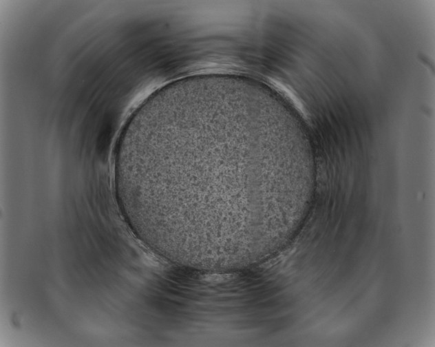 X0000094971419200712131444