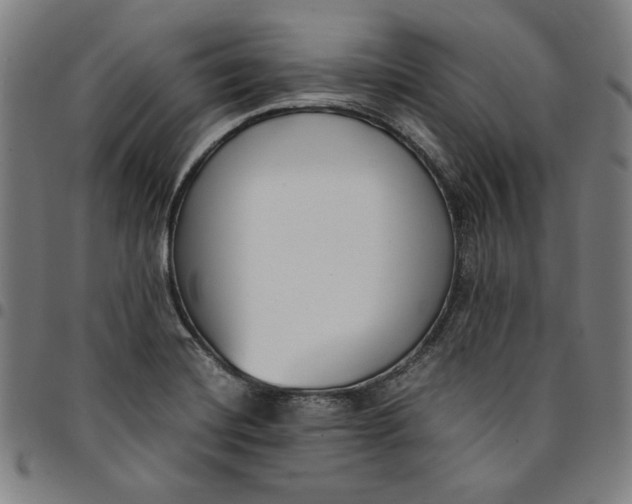 X0000094971420200712131444