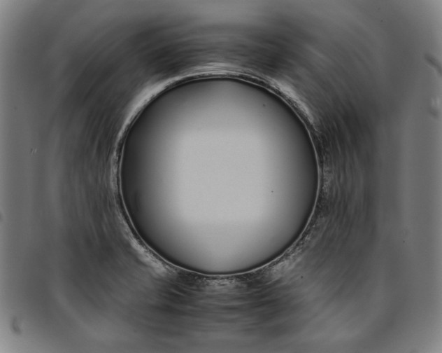 X0000094971421200712131444