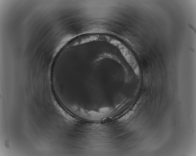 X0000094971422200712131444