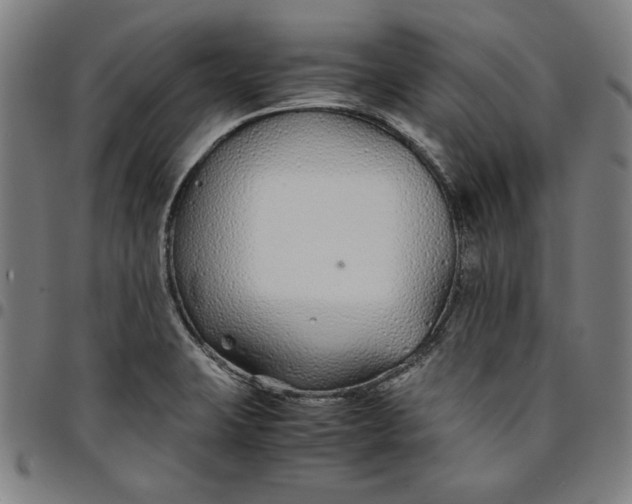 X0000094971423200712131444