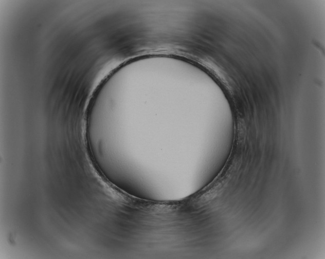 X0000094971424200712131444