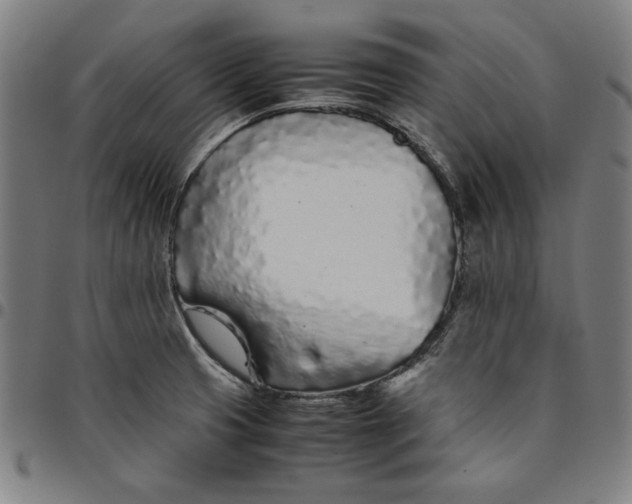 X0000094971425200712131444