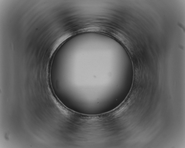 X0000094971426200712131444