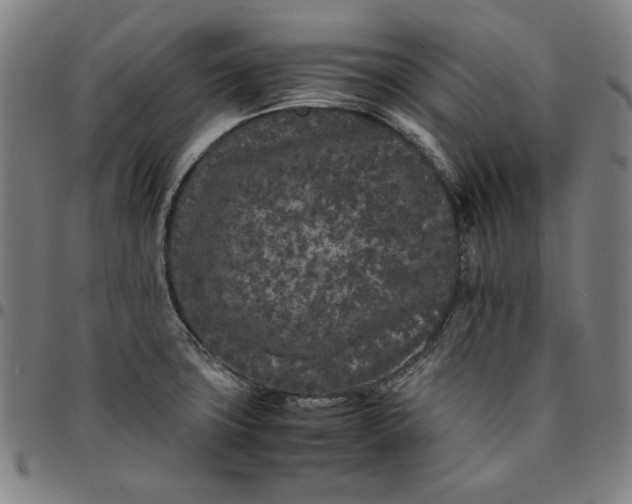 X0000094971427200712131444