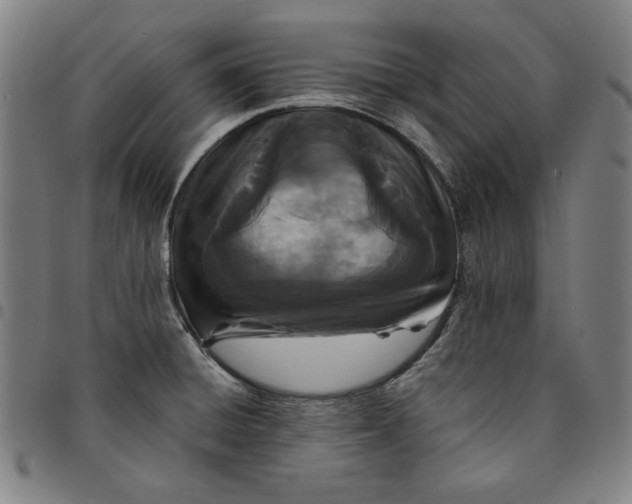 X0000094971428200712131444