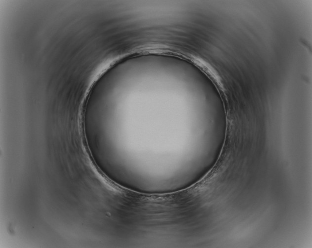 X0000094971429200712131444