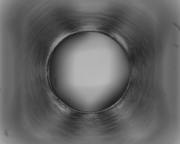 X0000094971435200712131444