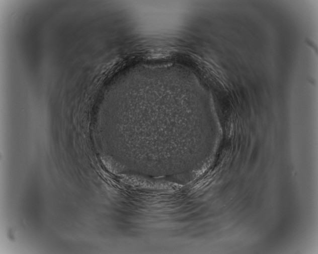 X0000094971441200712131444