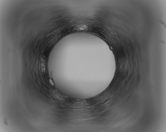 X0000094971442200712131444