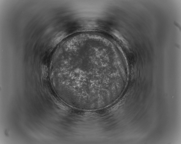 X0000094971449200712131444