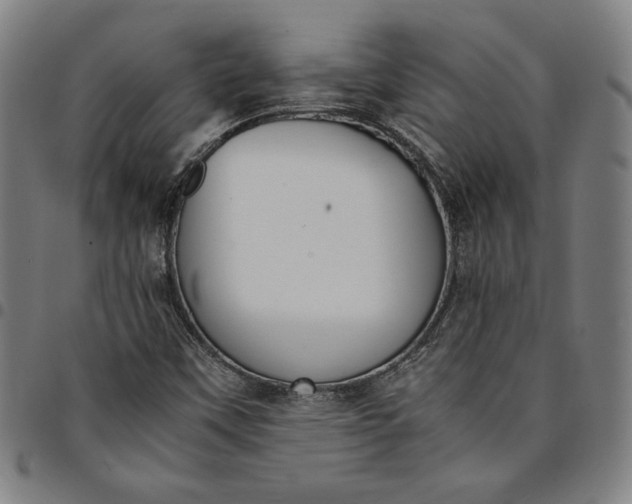 X0000094971451200712131443