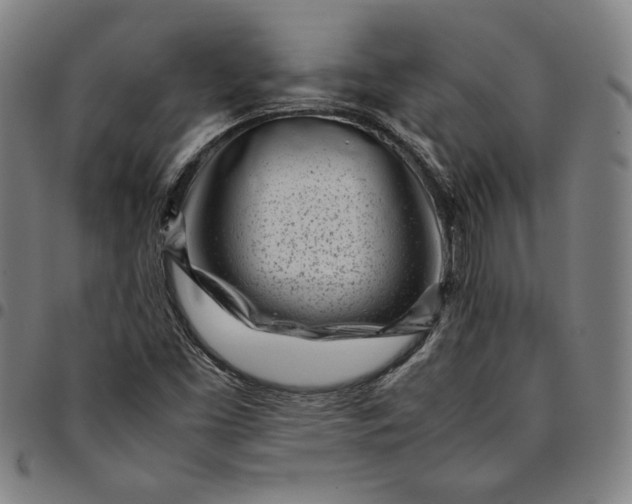 X0000094971453200712131443