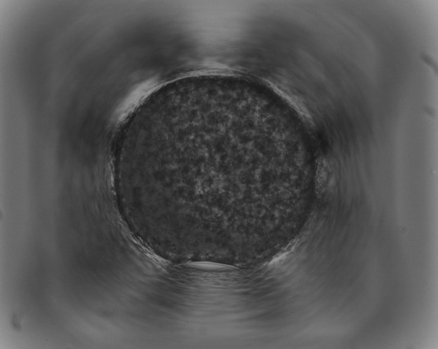 X0000094971455200712131443