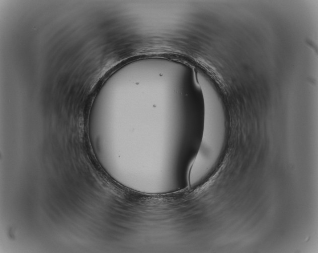 X0000094971457200712131443