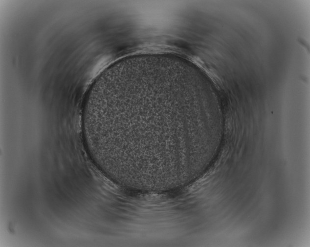 X0000094971459200712131443