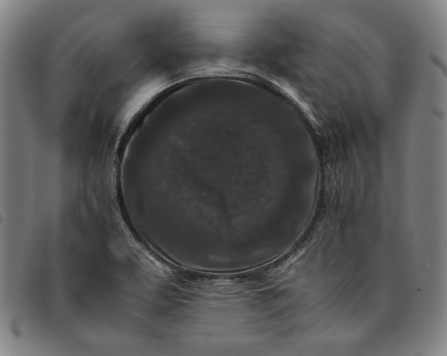 X0000094971463200712131443