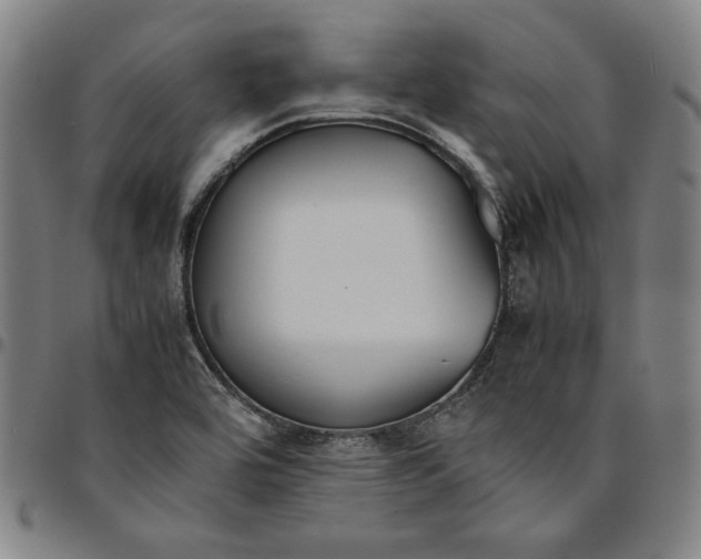 X0000094971464200712131443