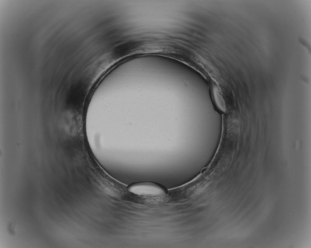 X0000094971465200712131443