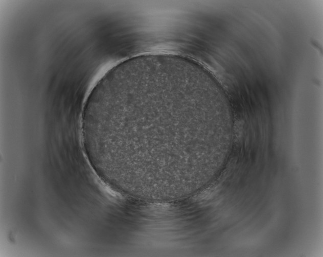 X0000094971470200712131443