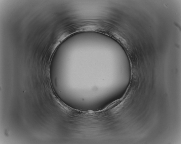 X0000094971473200712131443