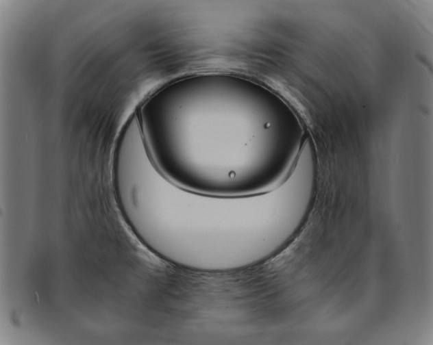 X0000094971477200712131443