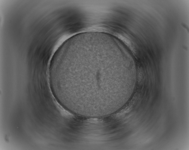 X0000094971478200712131443