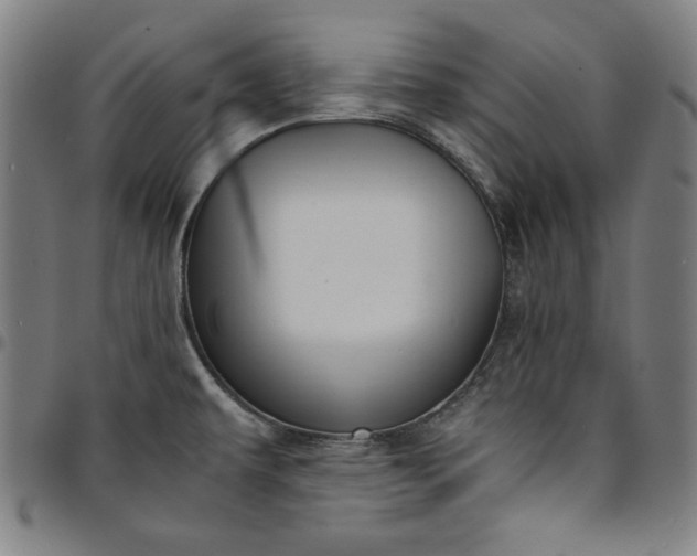 X0000094971479200712131443