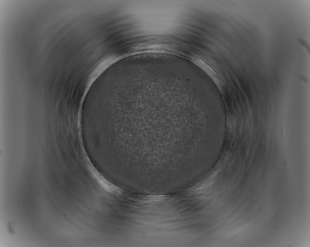 X0000094971482200712131443