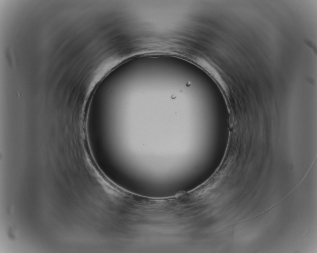 X0000094971485200712131443