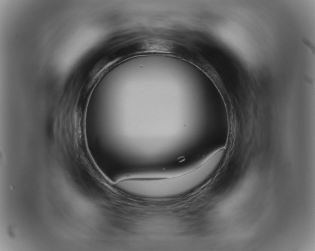 X0000094971487200712131443