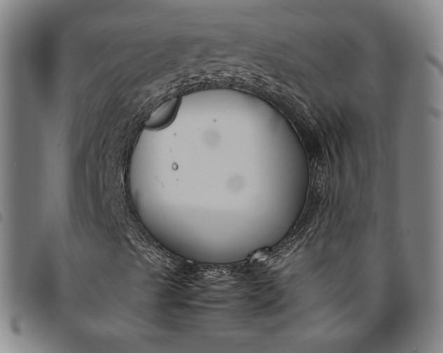 X0000094971489200712131442