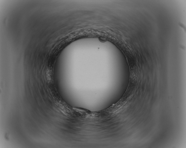 X0000094971490200712131442