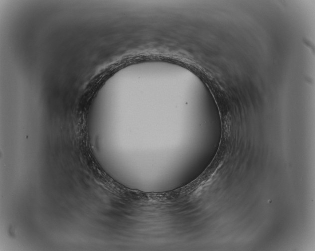 X0000094971494200712131442