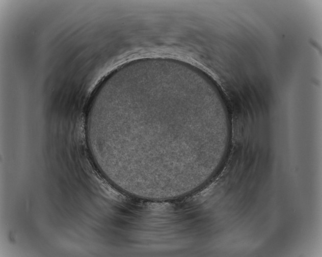 X0000094971498200712131442