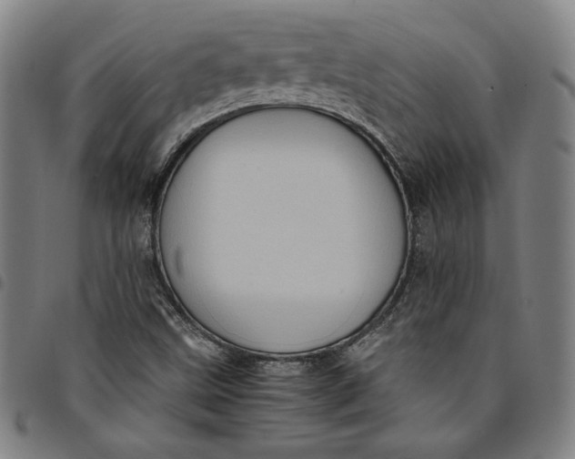 X0000094971499200712131442