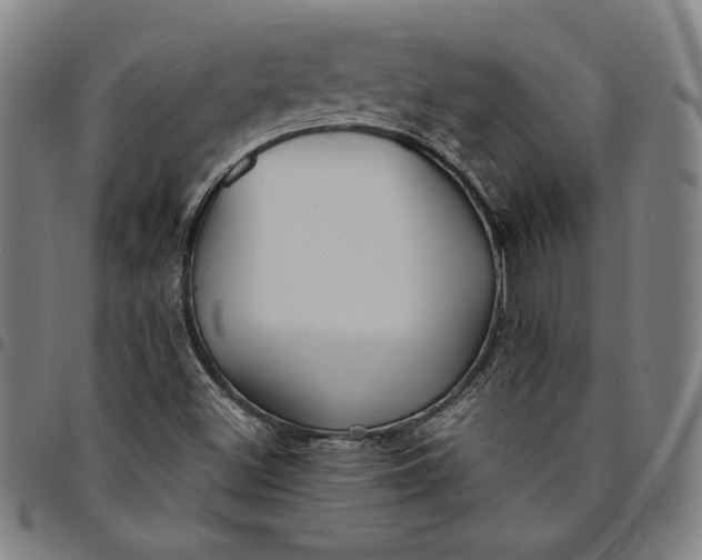 X0000094971500200712131442