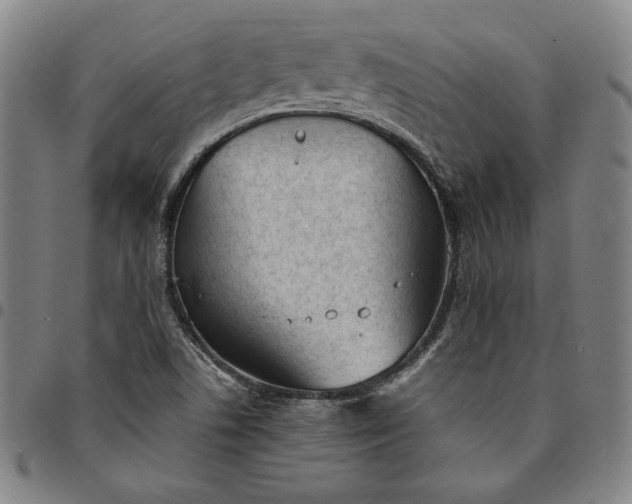 X0000094971506200712131442