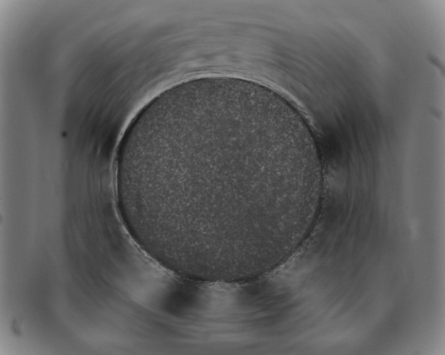 X0000094971514200712131442