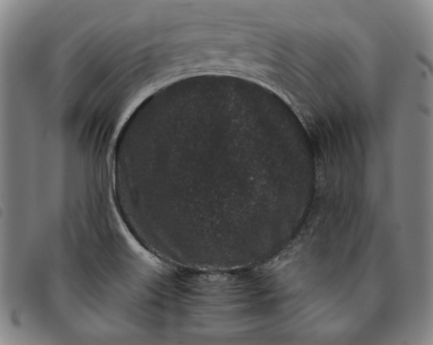 X0000094971515200712131442