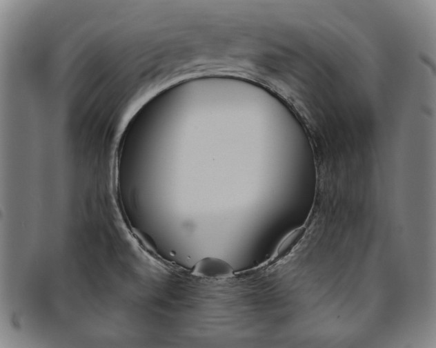 X0000094971520200712131443