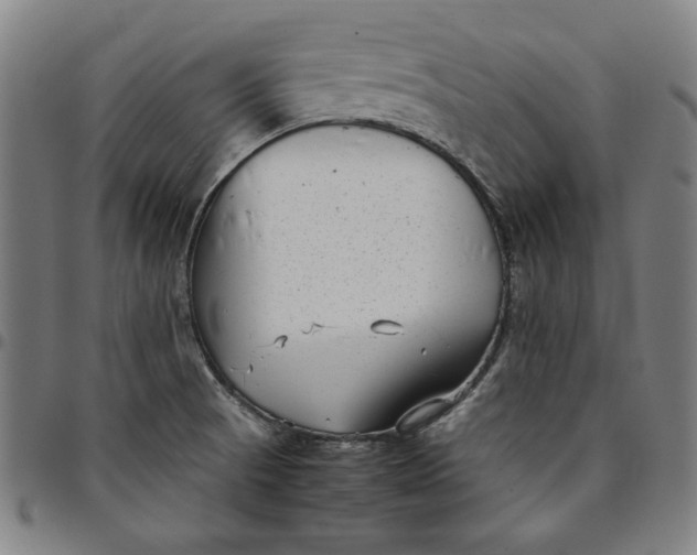 X0000094971521200712131443