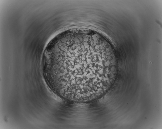 X0000094971522200712131443